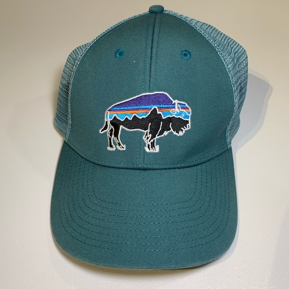 Patagonia Accessories - Patagonia Fitz Roy Bison Trucker Hat Cap Teal